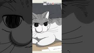 #short #shorts #キュルガ #夜は猫といっしょ #猫 #猫動画 #人気の動画