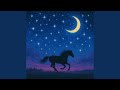 Starlight Fever