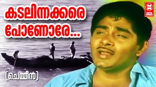 Kadalinakkare Ponore... | Chemeen | Vayalar | Salil Chowdary | K J Yeshudas | Evergreen Film Songs