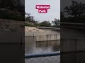 Waterloo Park in downtown Austin #texas #youtubeshorts #shorts