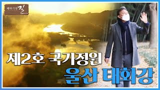 사계절 모두 아름다운 국가정원!! 그 중 겨울길을 한 번 걸어봅니다🎍 | 테마기행 길 | 태화강 국가정원 | 울산 | 전주MBC 220114 방송