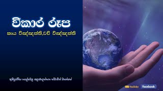 vikāra rūpa (kāya viññatti , vaci viññatti) || විකාර රූප || Ven Galewela Gnanadassana Thero