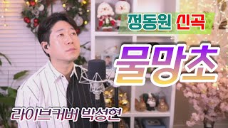 [ 정동원 신곡 ] 물망초 I 라이브커버 박성현   I  3회연속듣기