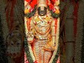 lord Venkateswara Swamy #shorts #omnamonarayanaya #tirupati#whatsapp_status_video