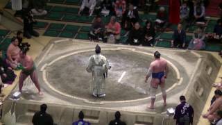 2017初場所12日目/阿夢露×若乃島/大相撲1.19(36)/amuru -wakanoshima