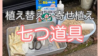 【タニラー七つ道具】私の必須の道具紹介 珍しいものもアリ?! 多肉植物