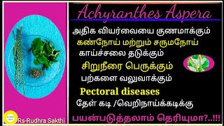 நாயுருவி பயன்கள்| நாயுருவி வேர் ரகசியம்| நாயுருவி வேர் மாந்திரீகம்