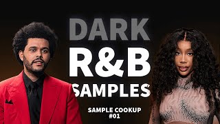 Will DARK RNB Samples Take Over The Music Scene In 2025? | Sample Cookup 01