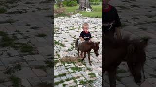 Walking the horse 🐴 #pony #rocky #farm #farmlife