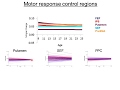 Oculomotor control in youth and adolescence