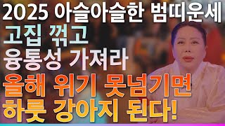 [팩트운세] 2025년 을사년 범띠 호랑이띠 운세