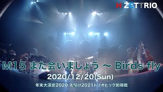 【LIVE映像】H ZETTRIO / また会いましょう～Birds fly [年末大演会2020 先駆け2021トリオピック前哨戦]