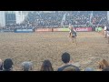 Expo Rural Palermo 2019 (1) - Caballos de Polo -