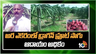 అర ఎకరంలో డ్రాగన్ ఫ్రూట్ సాగు ఆదాయం అధికం |Dragon Fruit Cultivation | Matti Manishi | 10TV