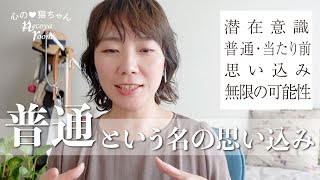 【普通という思い込み】私たちは常に無限の可能性の中にいる | 普通を覆されたエピソード | ゆる猫トーク🐱