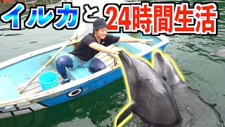 【24時間】水族館で\