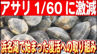 【浜名湖アサリの危機】不漁の原因と新たな取り組みで復活なるか　日本財団 海と日本PROJECT in 静岡 2024 #26