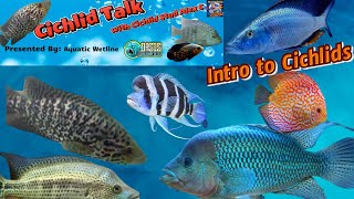 Cichlid Talk W/ Cichlid Stud Alex C: Intro To Cichlids