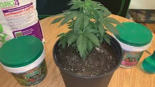 🌎Gaia Green Organic Nutrients “TOP DRESSING”🌎(Pink Kush) Week 4 Veg