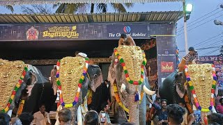 വലിയപാടം തൈപൂയ്യ മഹോത്സവം 2023 || valiyapadam thaipooyam mahotsavam 2023