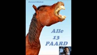 alle 13 Paard