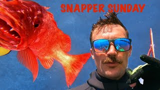 Spearfishing Southern Guam for a MASSIVE SNAPPER!!! #guamlife #islandlife #paradise #spearfishing