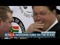 Duduzane Zuma rubbishing every witness testimony