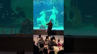 Daejeon Expo Aquarium #대전아쿠아리움 #show