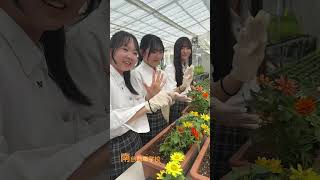 【南自動車学校と四日市農芸高校コラボ企画】百日草でプランターの花壇を作成♪