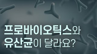 프로바이오틱스와 유산균의 차이