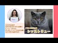 アナイスのフランス語講座23【猫】