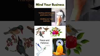 Buddha Quotes 13 Mind Your Business #shorts #buddha #short