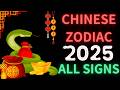 2025 Chinese Zodiac Predictions: Love, Career, and Luck! 🌟🐉 #2025predictions