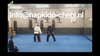 Hapkidoschool CHEBI