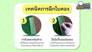 เทคนิคการฉีกใบตอง l สาระเทคนิคสไตล์การเรือนสวนดุสิต Ep.5