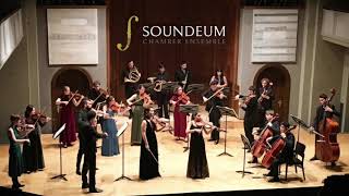 W.A. Mozart - Sinfonia Concertante in Es-Dur 3. Satz - Soundeum Chamber Ensemble