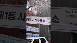 매년 수백만원씩 세금 내고 얻은 내 투표권 행사~ #1일1미식 냠냠! 화곡 미담분식 복합적인 단맛과 즉석떡볶이의 풍미가 느껴지는 전혀 맵지 않은 맛! 관외선거 줄 짧아서 좋다~