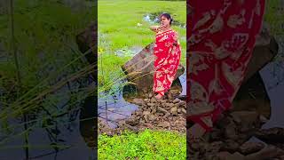 দুজনে নদীর তীরে ছোট এক কুটিরে #shorts #bangla #youtubeshorts #sohagi Lifestyle 11