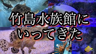 子供が大好きな竹島水族館（たけすい）デートや家族旅行にもおすすめ！全国へんないきものランキング1位はまさかの⁉️