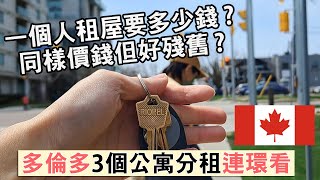 加拿大租屋記 連環睇3個公寓分租單位｜一個人在多倫多租屋要多少錢？ 同樣價錢 裝修新舊差天共地｜介紹香港即將推出支付卡Swap 優先取$20 ｜落地加拿大5件事【救生艇OWP移加】