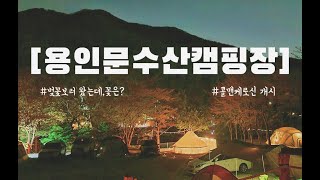 명당자리만 두번째방문/ 용인문수산캠킹장 / 콜맨케로신 언박싱/유명한 벚꽃보러 왔는데,어디에...?