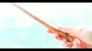 Cat Wand with crystal core in resin【Customizing avaliable at ETplant】- 貓訂製魔杖哈利波特 Harry Potter