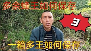 一群蜜蜂如何保存多只蜂王，需要注意哪些问题？听七哥怎么说吧