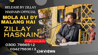 Mola Ali Dy Malang Hai |Zillay Hasnain| New Qasida 2025|