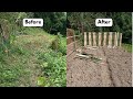 The process of cleaning up the garden after many years of neglect.