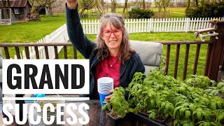 LET'S FINISH STRONG | Final POTTING UP Tomatoes