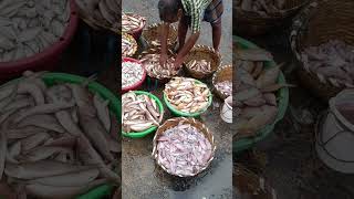 கூடை மீன் வாங்கி இருக்கிங்களா? #fish #fishes #fishmarket #fishing #seafood #sea