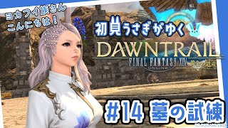 【ヨカフイ族の歴史】初見うさぎのFF14 黄金のレガシー旅 #14【祭司長を探せ】