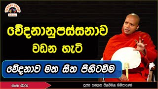 වේදනානුපස්සනාව සහ සේඛ ශ්‍රාවකත්වය.Hasalaka Seelavimala Thero.හසලක සීලවිමල හිමි