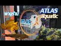 พาดูร้าน ATLAS Aquatic